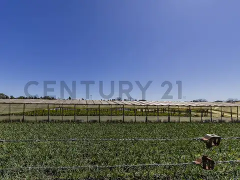 Campo en Venta de 2,33  ha