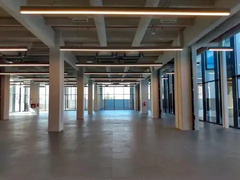 Oficina en Alquiler con 13 cocheras