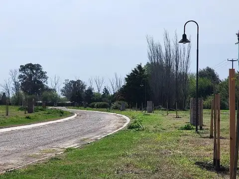 Aires de Pergamino Lote 19
