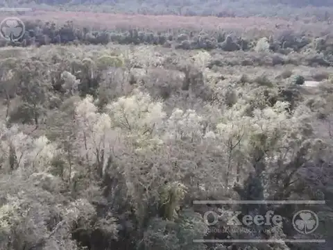 Campo  en venta de 6300 has en San Ramon De La Nueva Oran