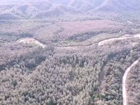 Campo  en venta de 6300 has en San Ramon De La Nueva Oran