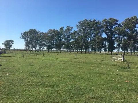 El Valle y Ruta 6 100