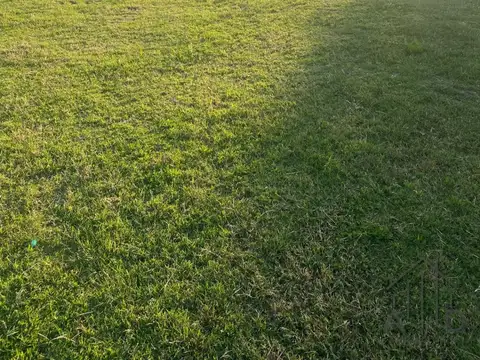 Terreno en Venta 38  mts Frente