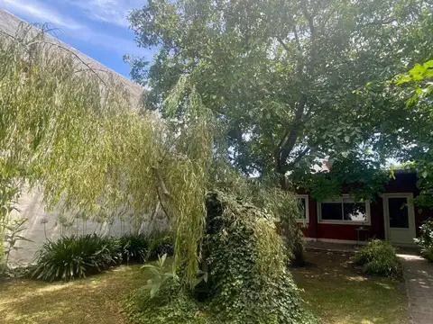 Local en alquiler - 2 Baños - 306mts2 - Mar del Plata