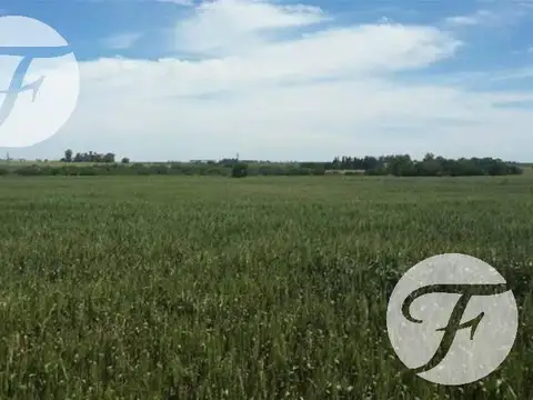 Entre Ríos (Paraná) I Campo 16 ha