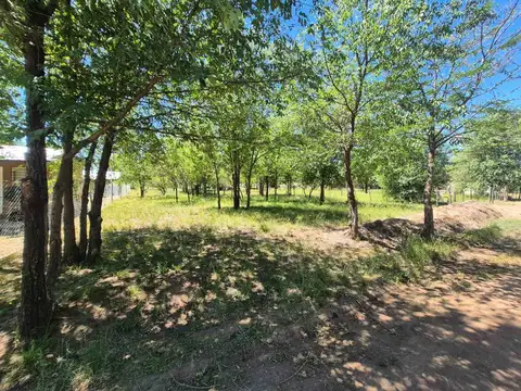 Conde de Vendome 1200