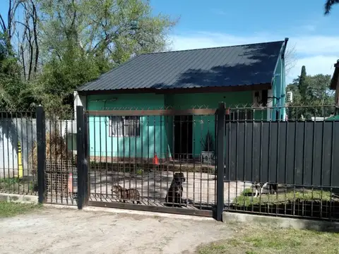 Leónardo Da Vinci 200