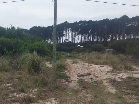 Avenida Central, Barrio Parque 100