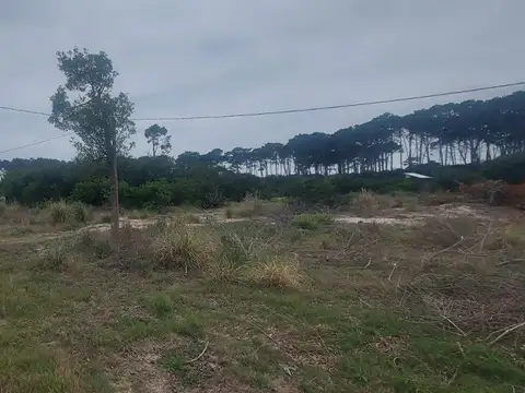 DOS TERRENOS EN VENTA BARRIO PARQUE LA PALOMA