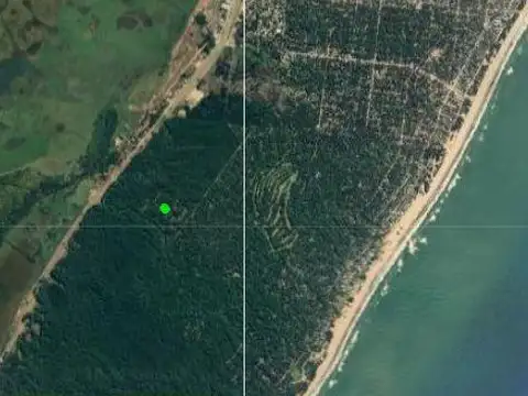 Terreno en Venta de 1484,0 m2