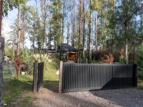 CAMPO TIMBO RUTA 11 KM 300