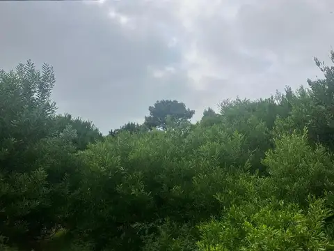 Muy buen terreno de 600 mts. en Las Gaviotas