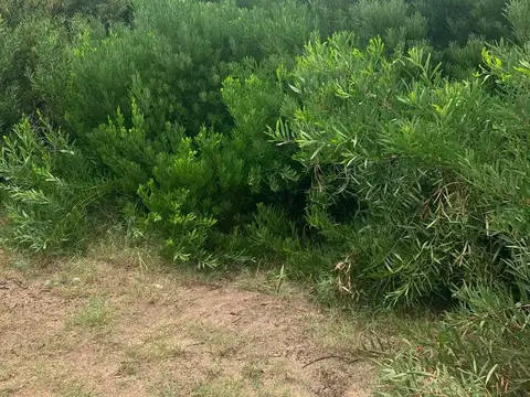 Terreno en Venta en Mar de las Pampas, USD 45.000