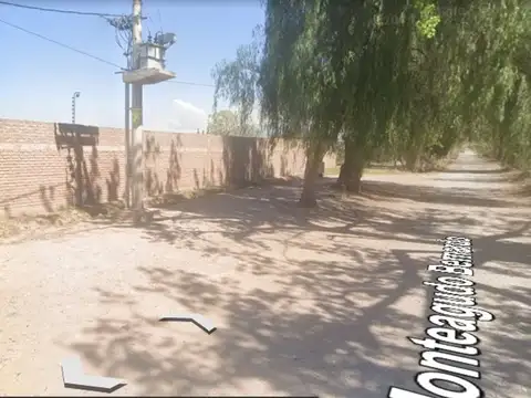 Monteagudo Bernardo 500