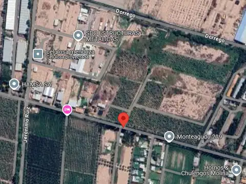 Monteagudo Bernardo 500