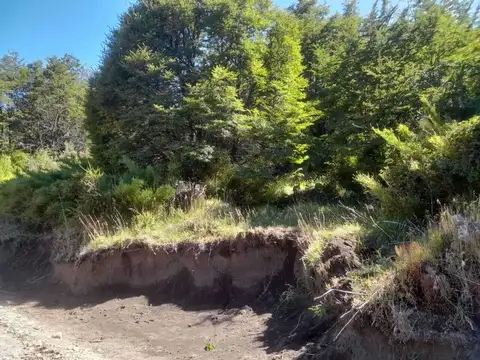 Terreno / Lote en venta de 1000m2 ubicado en Lácar