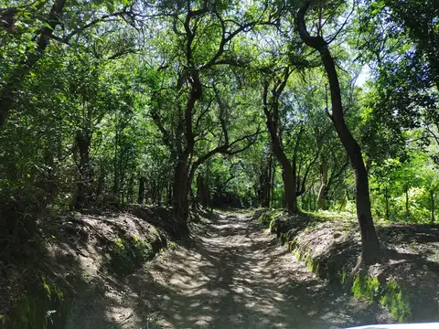 LA POBLACION , Piso LA