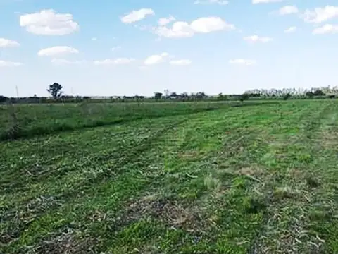 Fracción de 9 hectáreas en Guernica – Ideal Barrio Privado - Venta