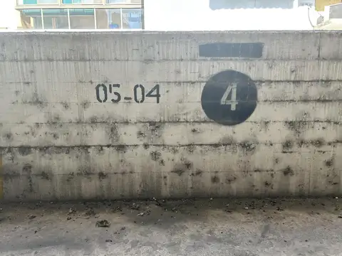 Cochera, 05-04, 1° de mayo al 900