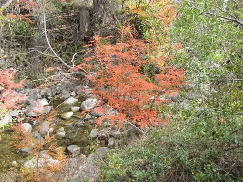 Terreno en Venta en Cholila, USD 1.600.000