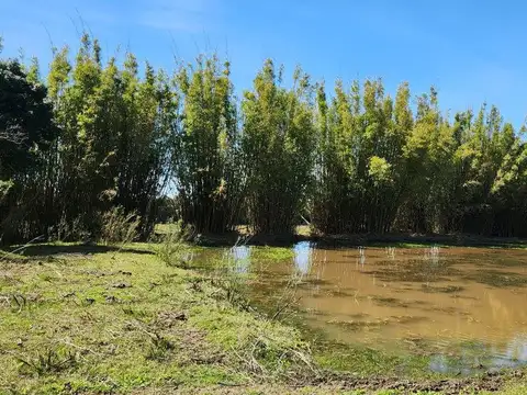 VENTA TERRENO JOAQUIN SUAREZ RUTA 84 6.5 HECTÁREAS