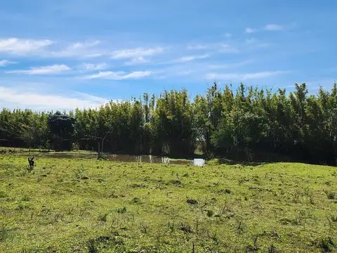 Terreno en Venta de 65000,0 m2