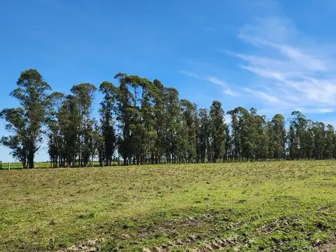 Terreno en Venta en Canelones, USD 130.000