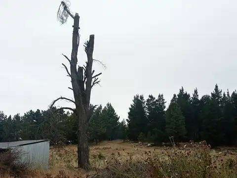 Terreno en Venta de 442,0 m2