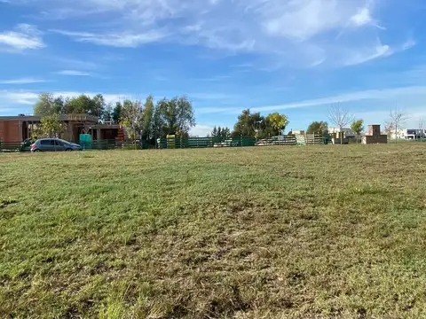 Terreno en Venta 20  mts Frente