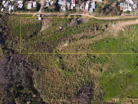 Jardines de Campistegui