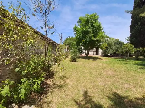 Estanislao Del Campo 800