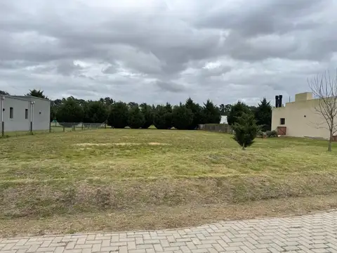 Adg. Excelente Lote En El Cardal 2