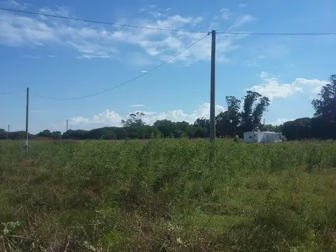 Terreno en Venta 34  mts Fondo