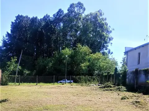 Terreno en Venta de 353,0 m2