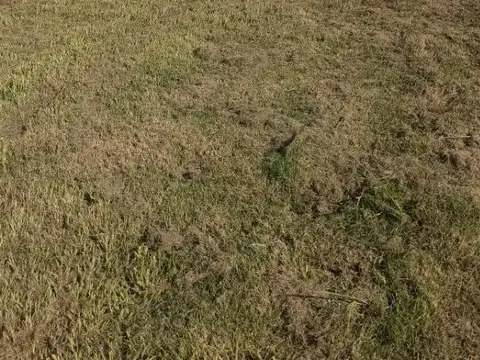 Terreno en Alquiler en Resistencia, $ 700.000