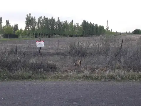 VENDO LOTE CUADRO BENEGAS