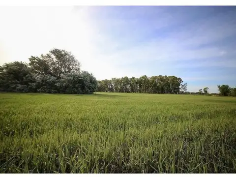 Chacras de San Andrés, Villa Ruiz, San Andrés de Giles