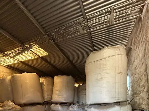 Ángela Di Natale de Fulgenzi 100