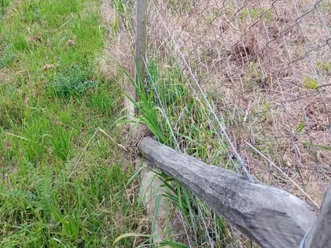 Terreno en Venta 96  mts Fondo