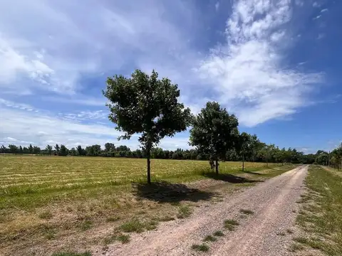 Terreno en Venta 57  mts Frente