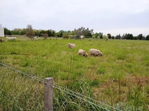 Terreno en Venta en San Miguel Del Monte, USD 36.500