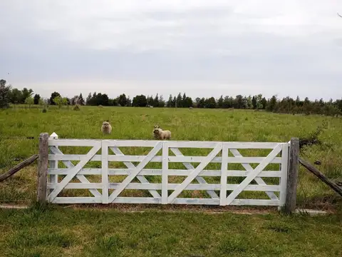 Terreno - San Miguel Del Monte