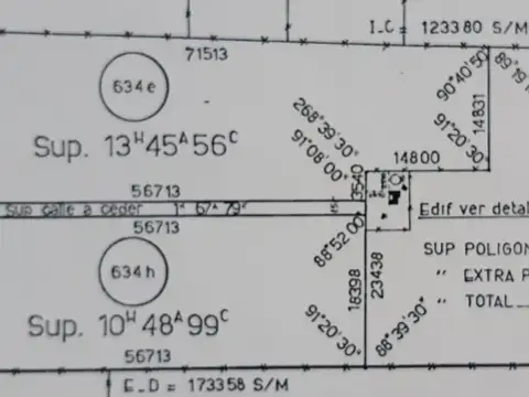24 has agrícolas, con arboleda. Excelentes 
