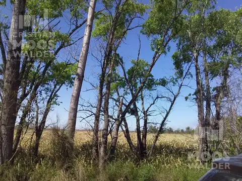 Terreno en Venta en Parana Las Palmas, USD 175.000