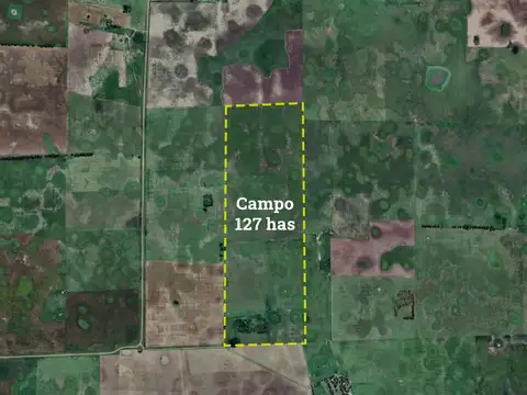 Campo en venta en General Belgrano - 127 Has