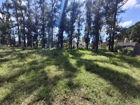 Terreno en Venta de 365,0 m2