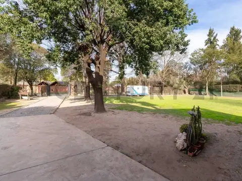 LA TRADICION 1000, Piso 0