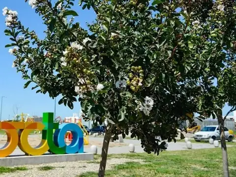 VENTA LOTE DOCTA CENTRAL