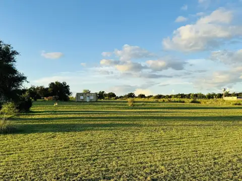 Primeros Colonos entre Inmigrantes y Hoffman