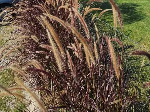 Departamento en Venta en Saravi Village, USD 105.000